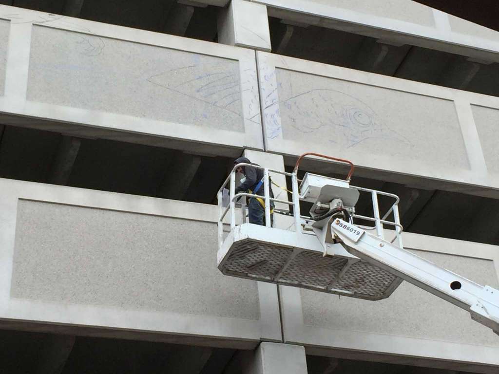 parking garage birds