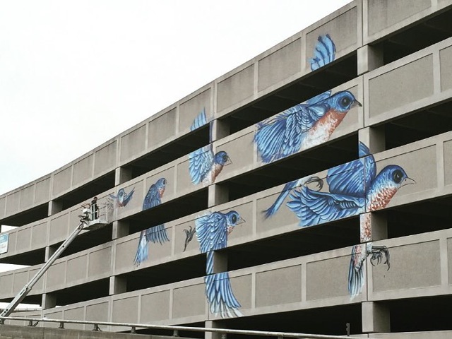 garage birds 2