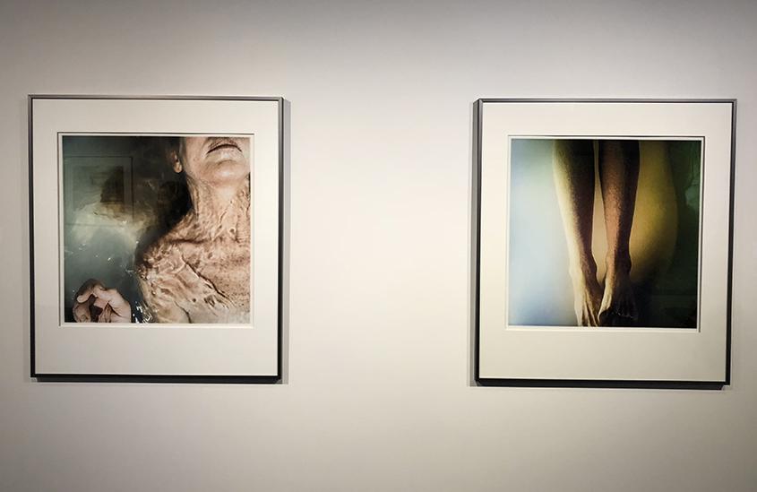 Photo of a wall of the Then & Now: Mark McCarty exhibit