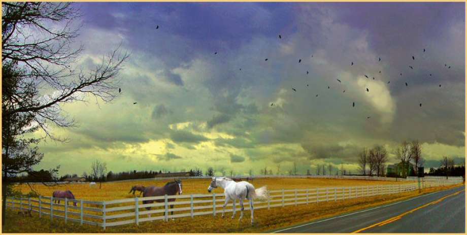 Courtesy of Clement Art Gallery James Flosdorf's ?Windy? - Digital print on Archival paper - 20? x 30? by Jim Flosdorf At Clement Art Gallery, Troy.