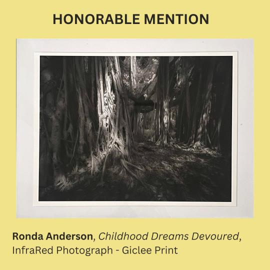 HONORABLE MENTION 2.png